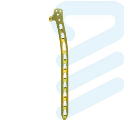 Distalinė šoninė pakaušio fiksavimo plokštelė