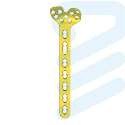 Distalinio spindulio kintamo kampo plokštelė